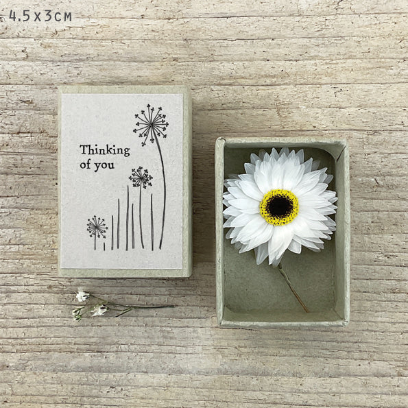East of India Matchbox met droogbloem "Thinking of you"