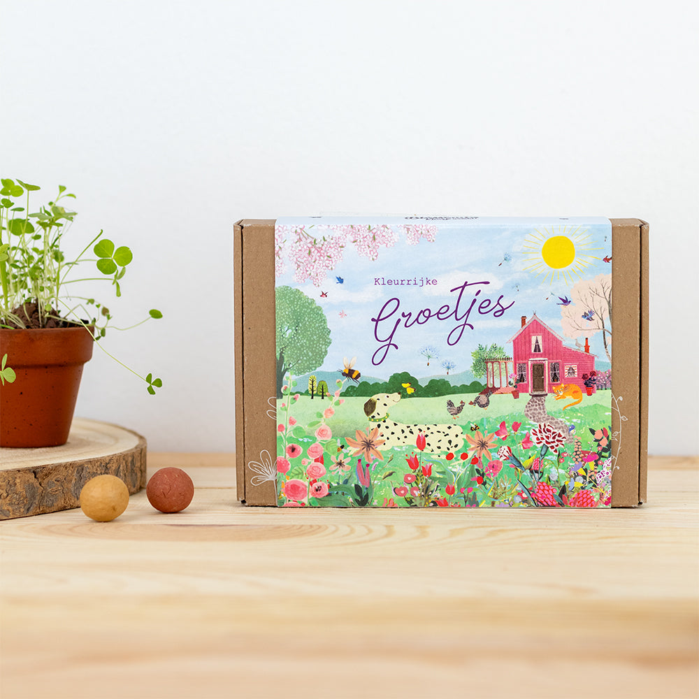 Blossombs Giftbox Kleurrijke Groetjes - 7 zaadbommetjes