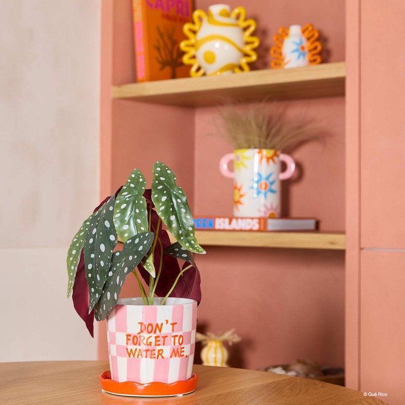 Que Rico Bloempot Lior 'Don't forget to water me'
