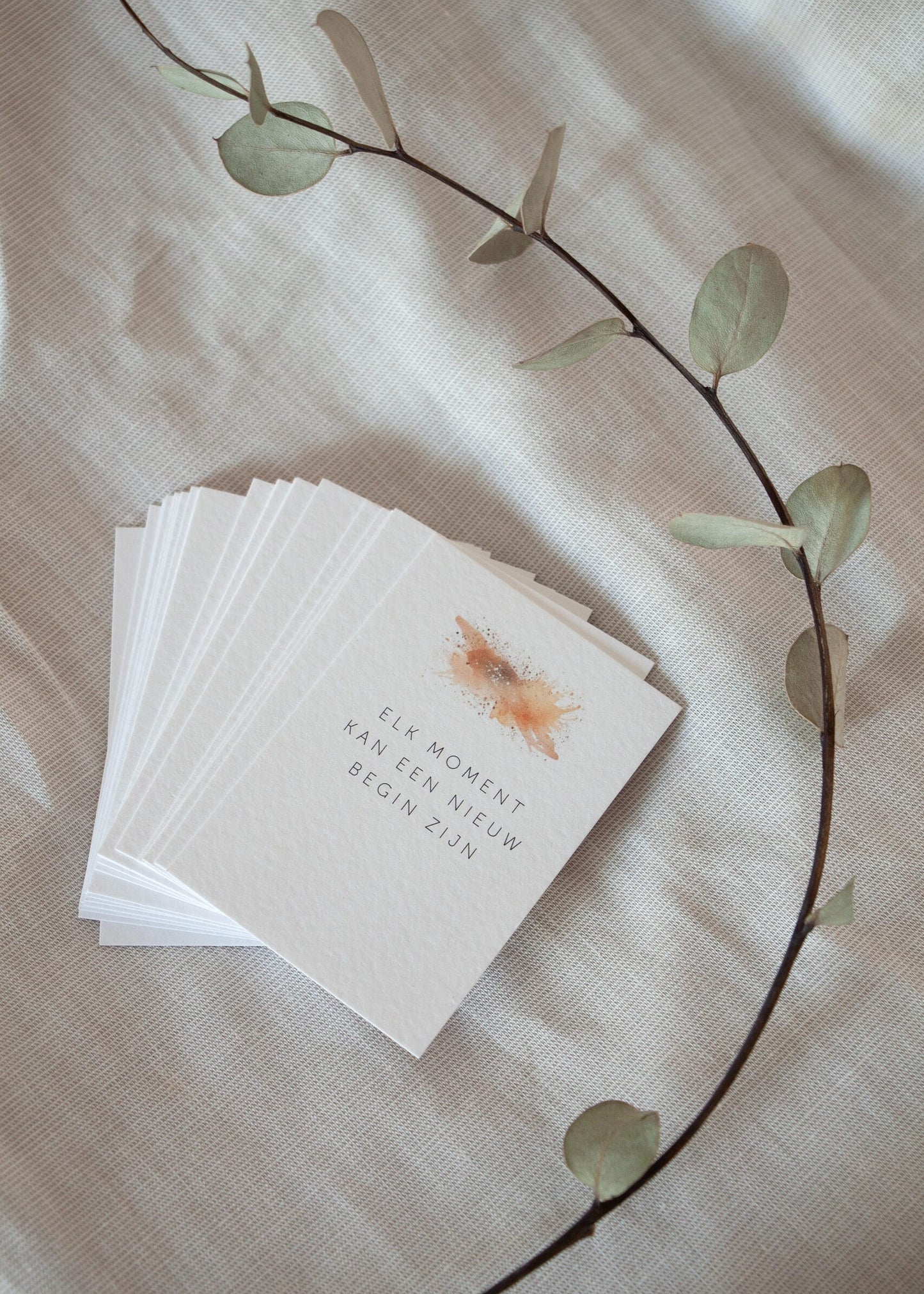Roosmarijn Hold It + Mindful