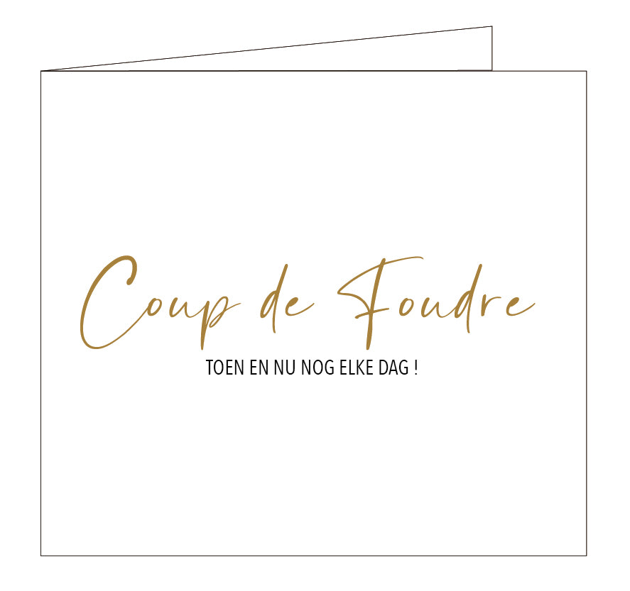 Hil Claesen Coup de Foudre