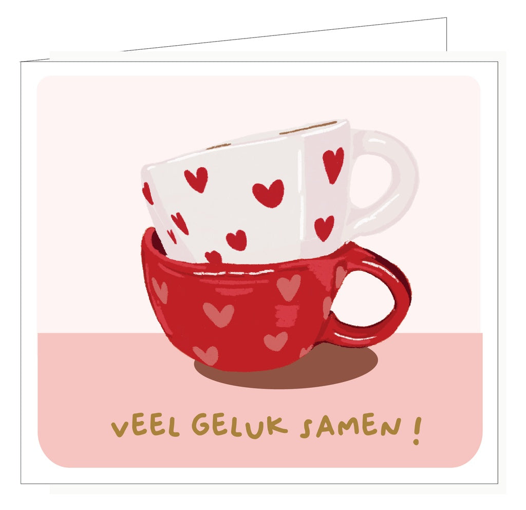 Pippa Veel Geluk Samen