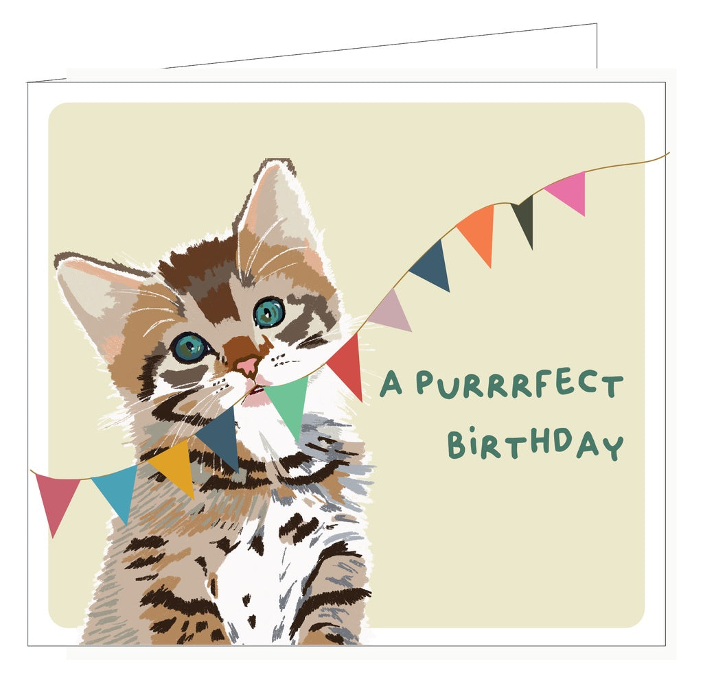 Pippa A Purrrfect Birthday