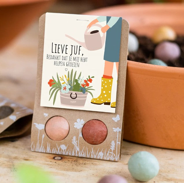 Blossombs Weggeefcadeautje 'Lieve Juf'
