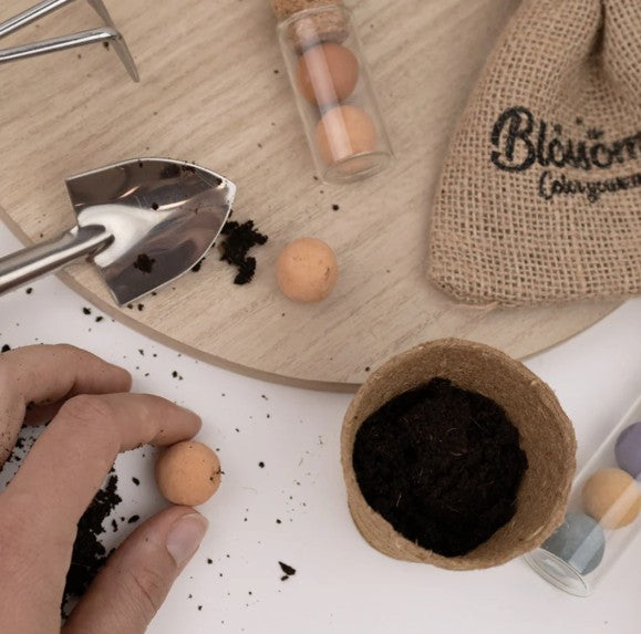 Blossombs Grow Kit “Bloemen!” met Laagbloeiende Mix