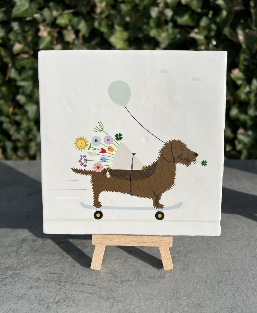 Mailbox Tegeltje Frits Skatebord