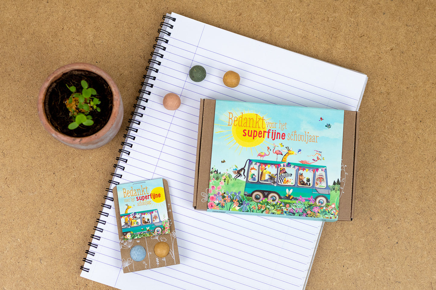 Blossombs Giftbox Bedankt voor het superfijne schooljaar - 7 zaadbommetjes