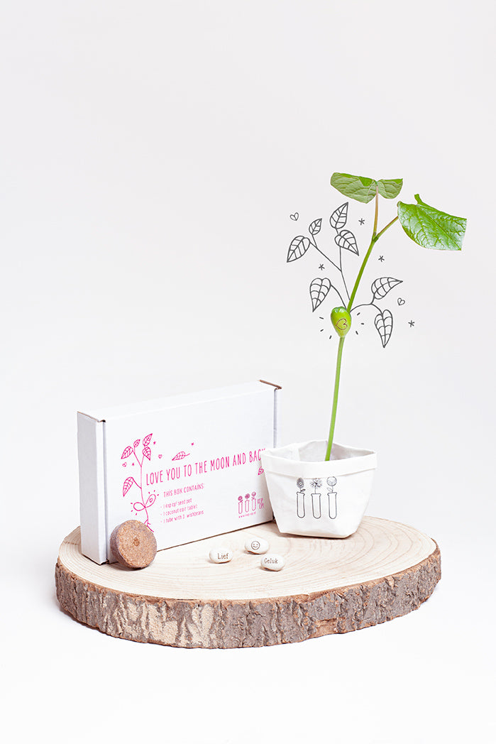 Kop op - Doosje 'Love you to the moon and back'