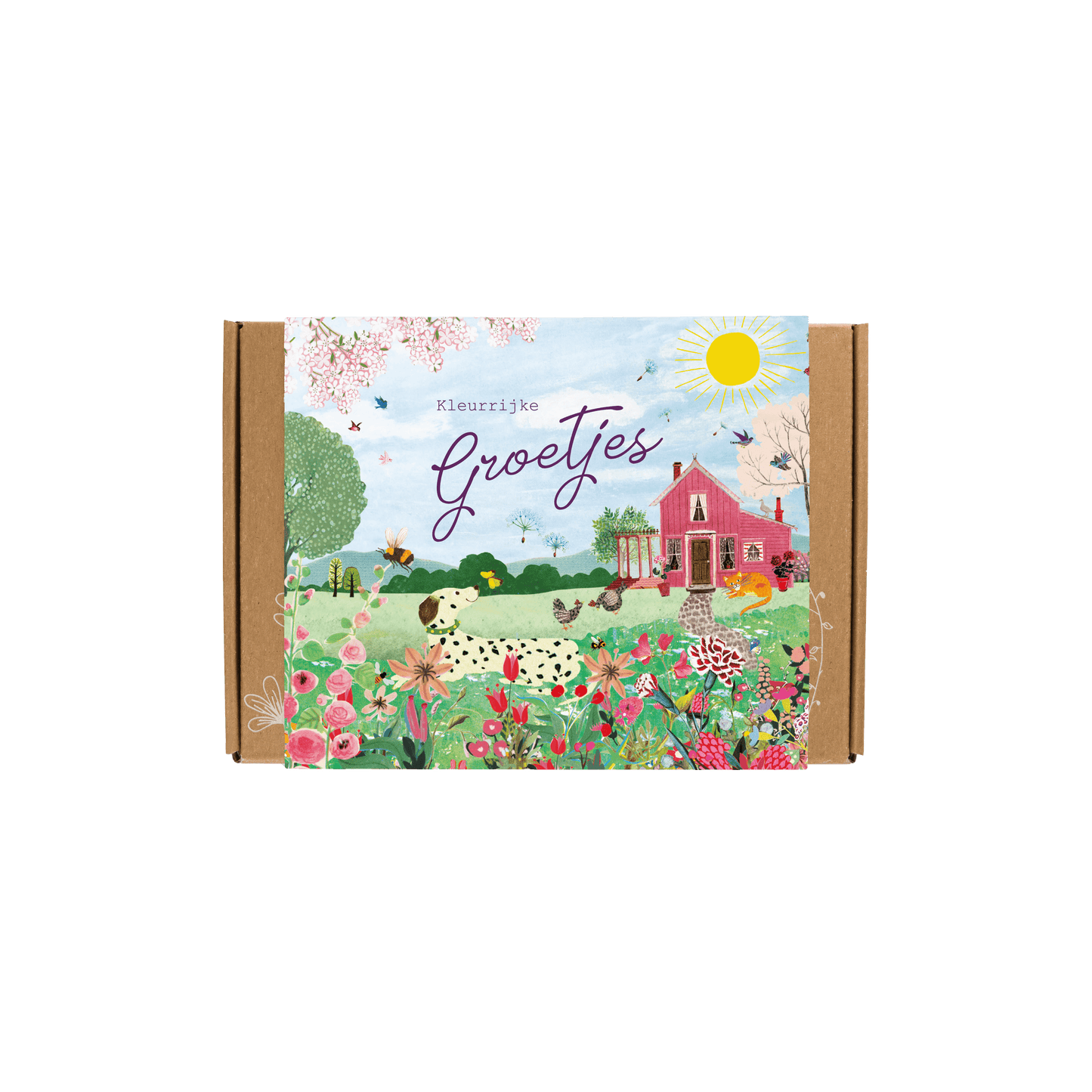 Blossombs Giftbox Kleurrijke Groetjes - 7 zaadbommetjes