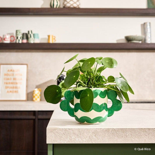 Que Rico Plant pot Jacinta