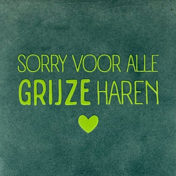 Yett Tegeltje 'Sorry voor alle grijze haren'