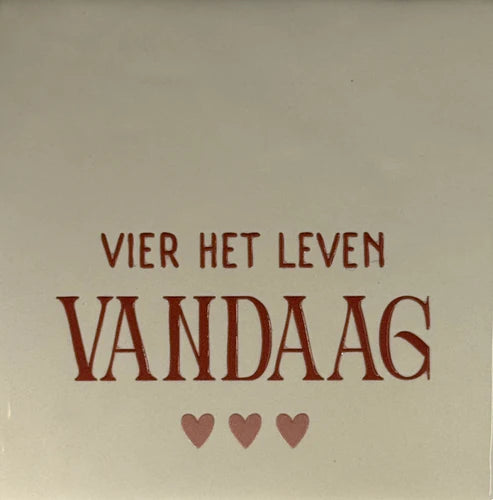 Yett Tegeltje 'Vier het leven'