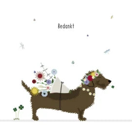 Frits Dankjewel