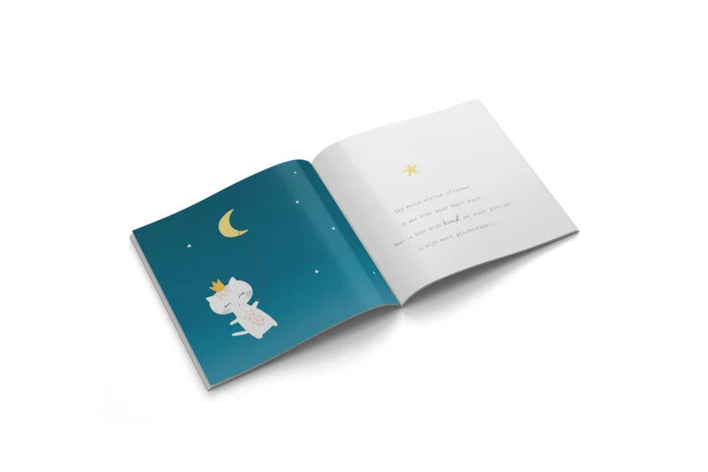 Vlinderkusje Boekje voor Sterrenouders 'Dag liefje'