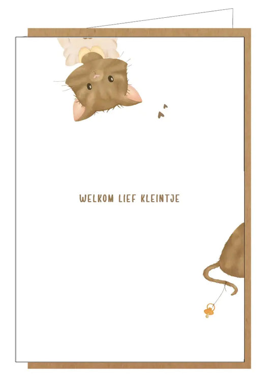 Studio Lin Welkom Lief Kleintje