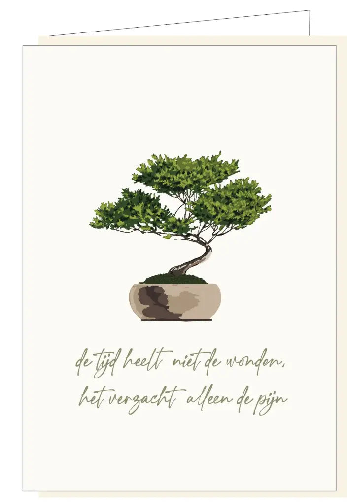 Memoria 'De Tijd Verzacht De Pijn'