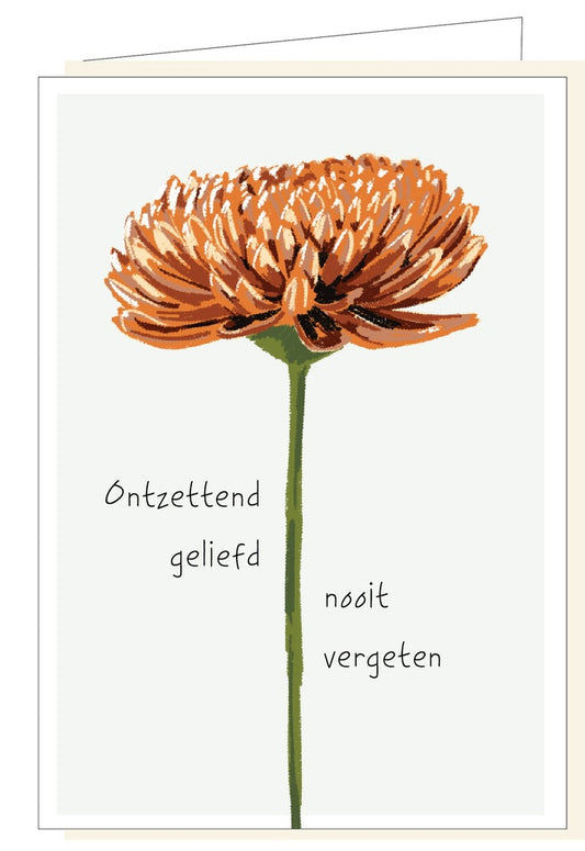 Memoria Ontzettend Geliefd