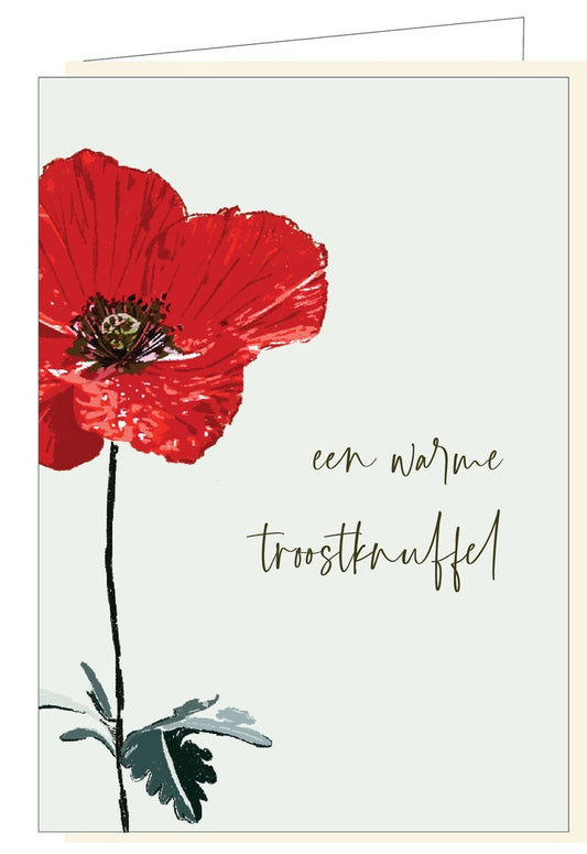 Memoria Een Warme Troostknuffel