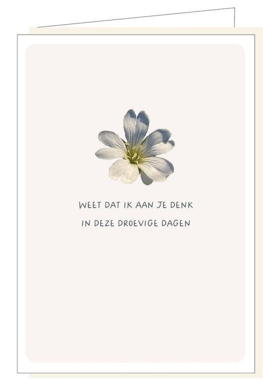 Memoria Weet dat ik aan Je Denk