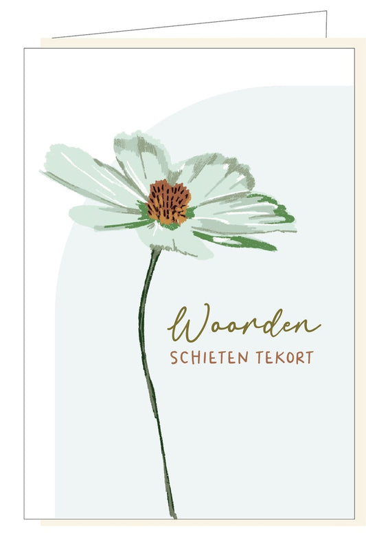 Memoria Woorden Schieten Tekort