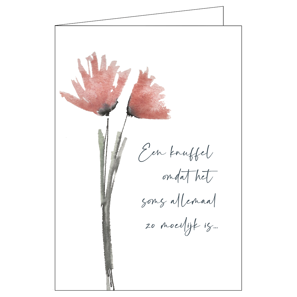 Memoria Een Knuffel