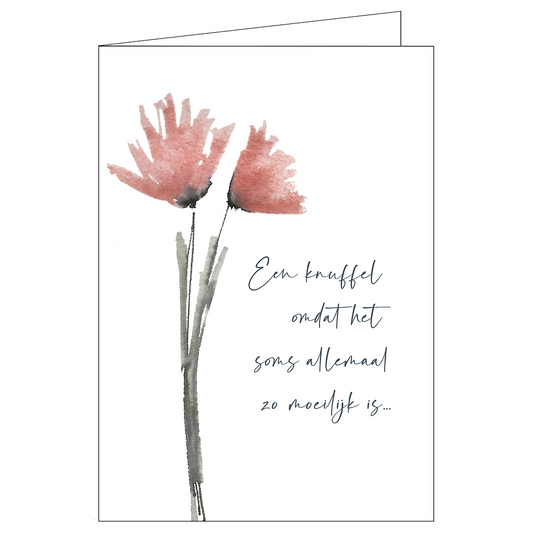 Memoria Een Knuffel