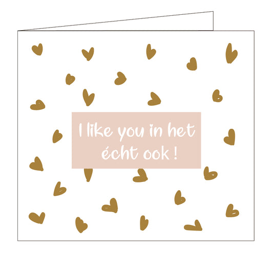 Hil Claesen I like You in het Echt ook
