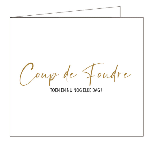 Hil Claesen Coup de Foudre