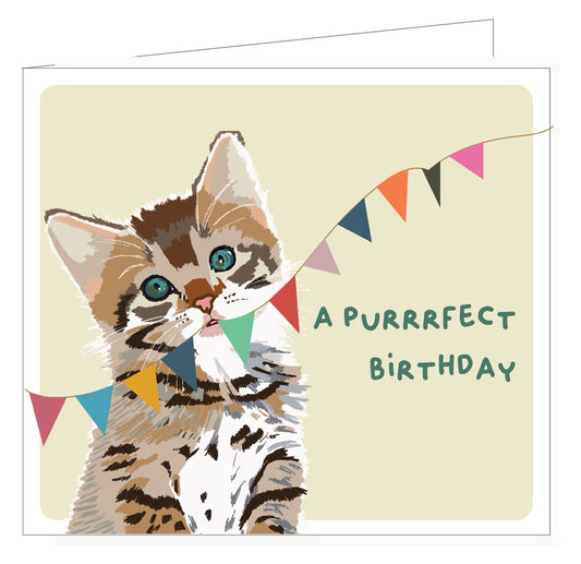 Pippa A Purrrfect Birthday