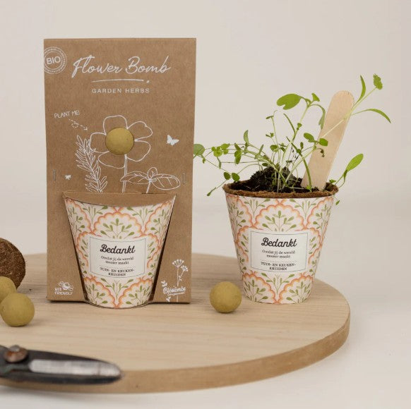 Blossombs Grow kit "Bedankt" met Tuin- en Keukenkruiden Mix Zaadbommetje