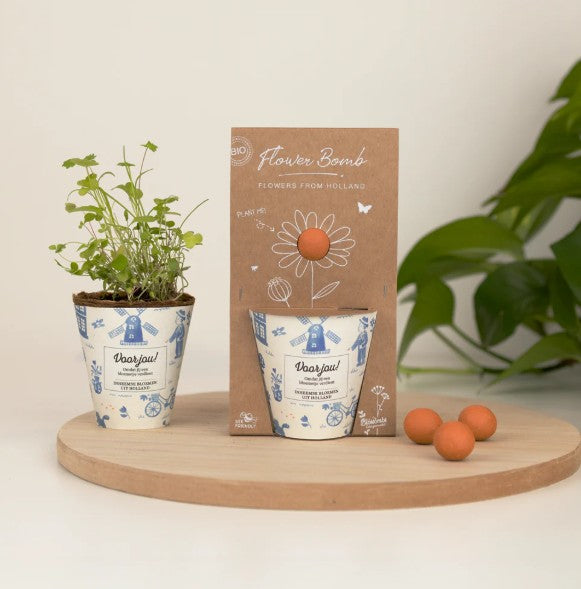 Blossombs Grow Kit “Voor jou!” met Hollandse Mix