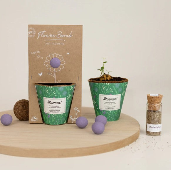 Blossombs Grow Kit “Bloemen!” met Laagbloeiende Mix