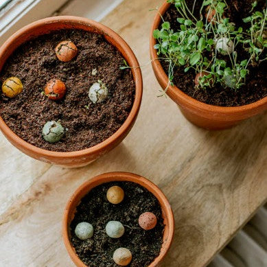 Blossombs Gift Box Medium "Bloemen voor jou" met 9 zaadbommetjes