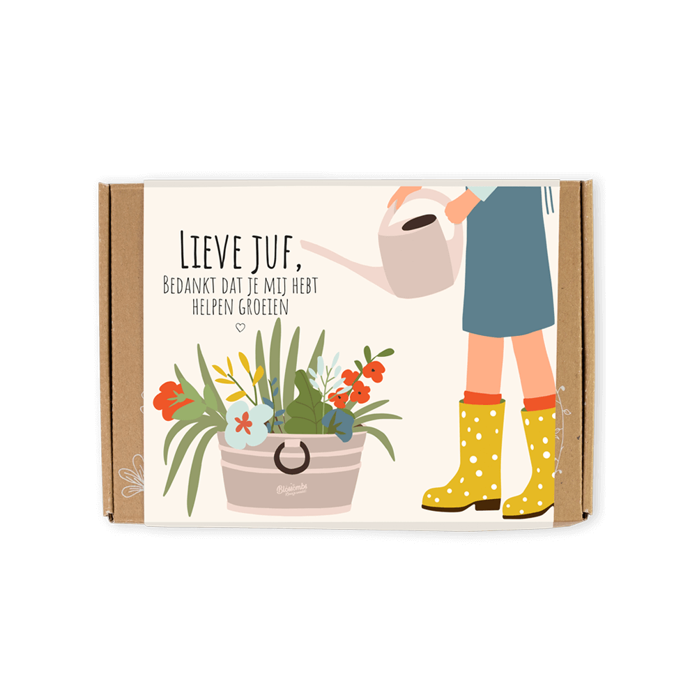 Blossombs Giftbox Lieve juf - 7 zaadbommetjes