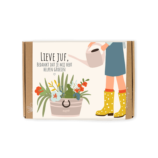 Blossombs Giftbox Lieve juf - 7 zaadbommetjes