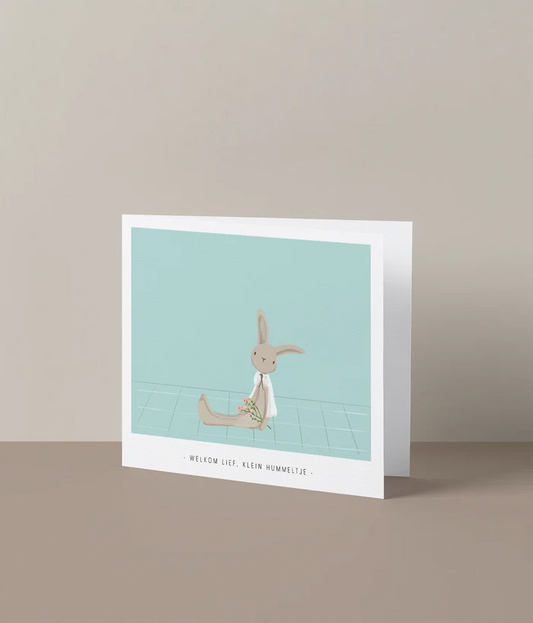 Studio Mie 'Welkom Lief, Klein Hummeltje'