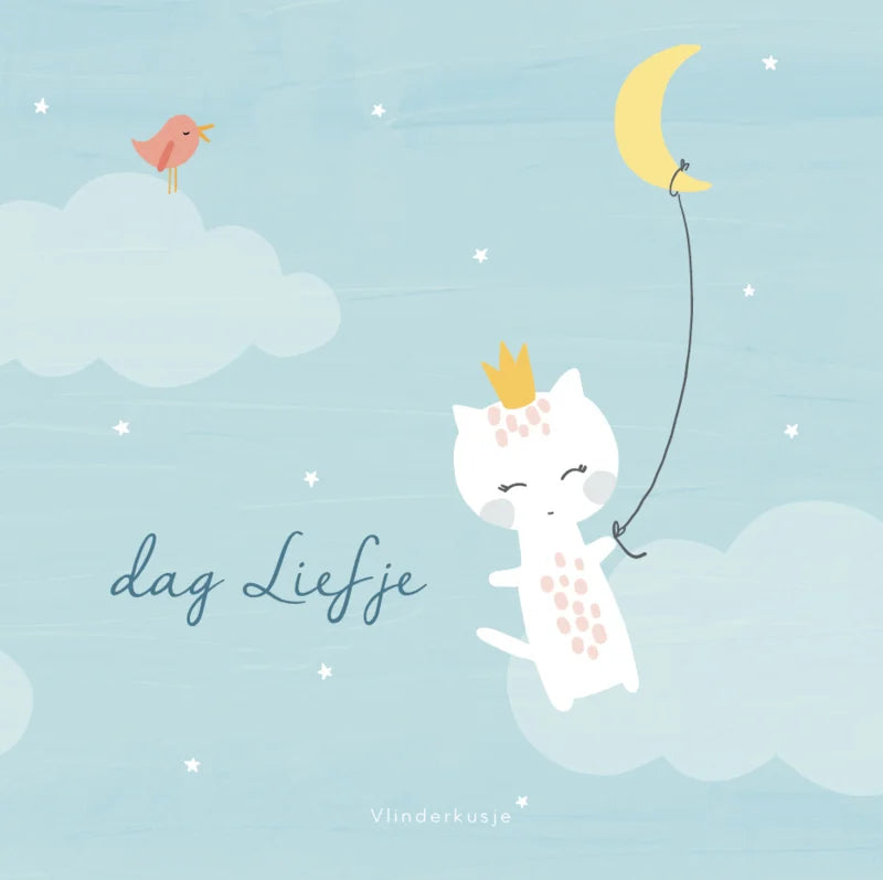 Vlinderkusje Boekje voor Sterrenouders 'Dag liefje'