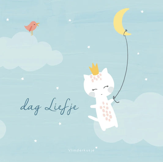 Vlinderkusje Boekje voor Sterrenouders 'Dag liefje'